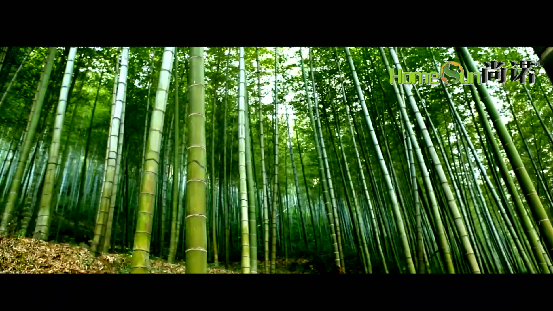 尚诺重竹地板宣传片