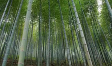 天气太热，请给我台天然冰箱。