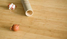 这个冬天，尚诺陪你抵御寒冷。