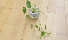 如何预防竹木地板干缩、开裂